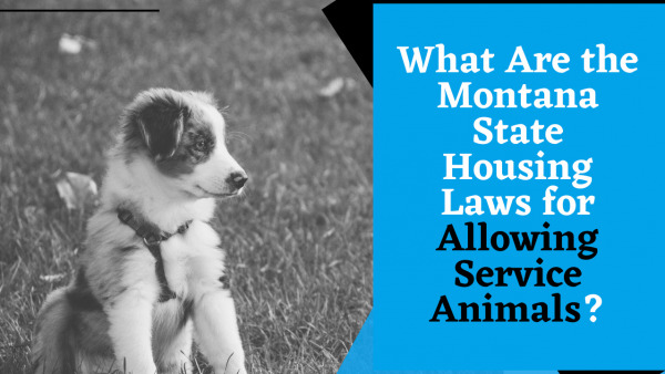 What Are the Montana State Housing Laws for Allowing Service Animals?